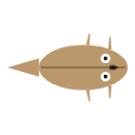 Front Leg Length: Mid