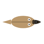 Mouth Type: Scavenger