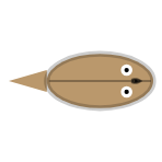 Shell Strength: Weak