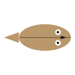 Tail Length: Short